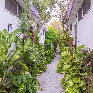 Aventura Merida