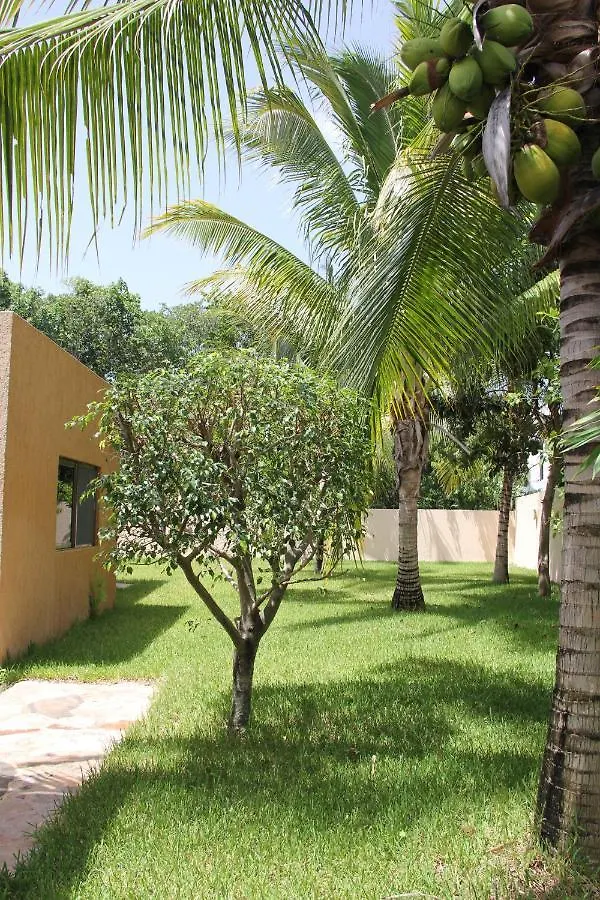Myoli Wellness & Happiness Bnb Playa del Carmen Bed and breakfast