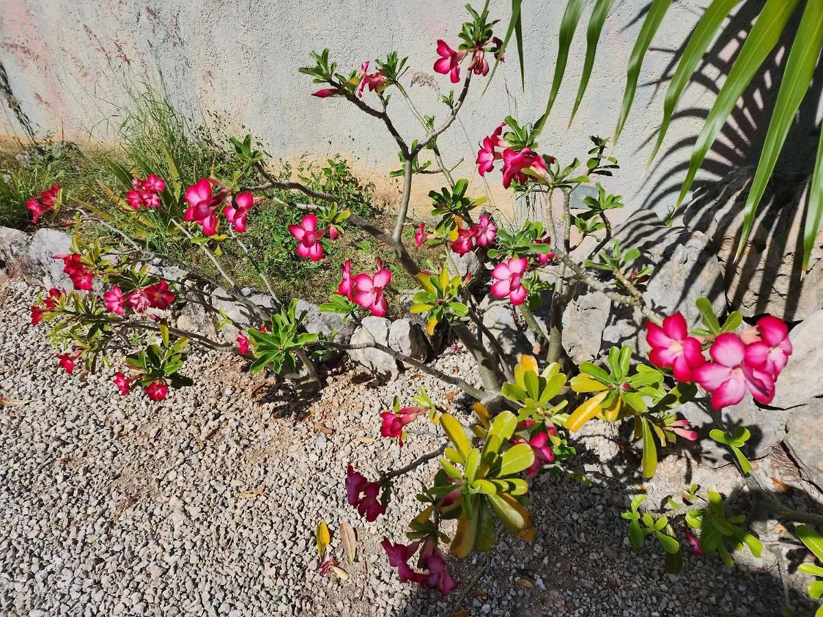 Myoli Wellness & Happiness Bnb Playa del Carmen Bed and breakfast